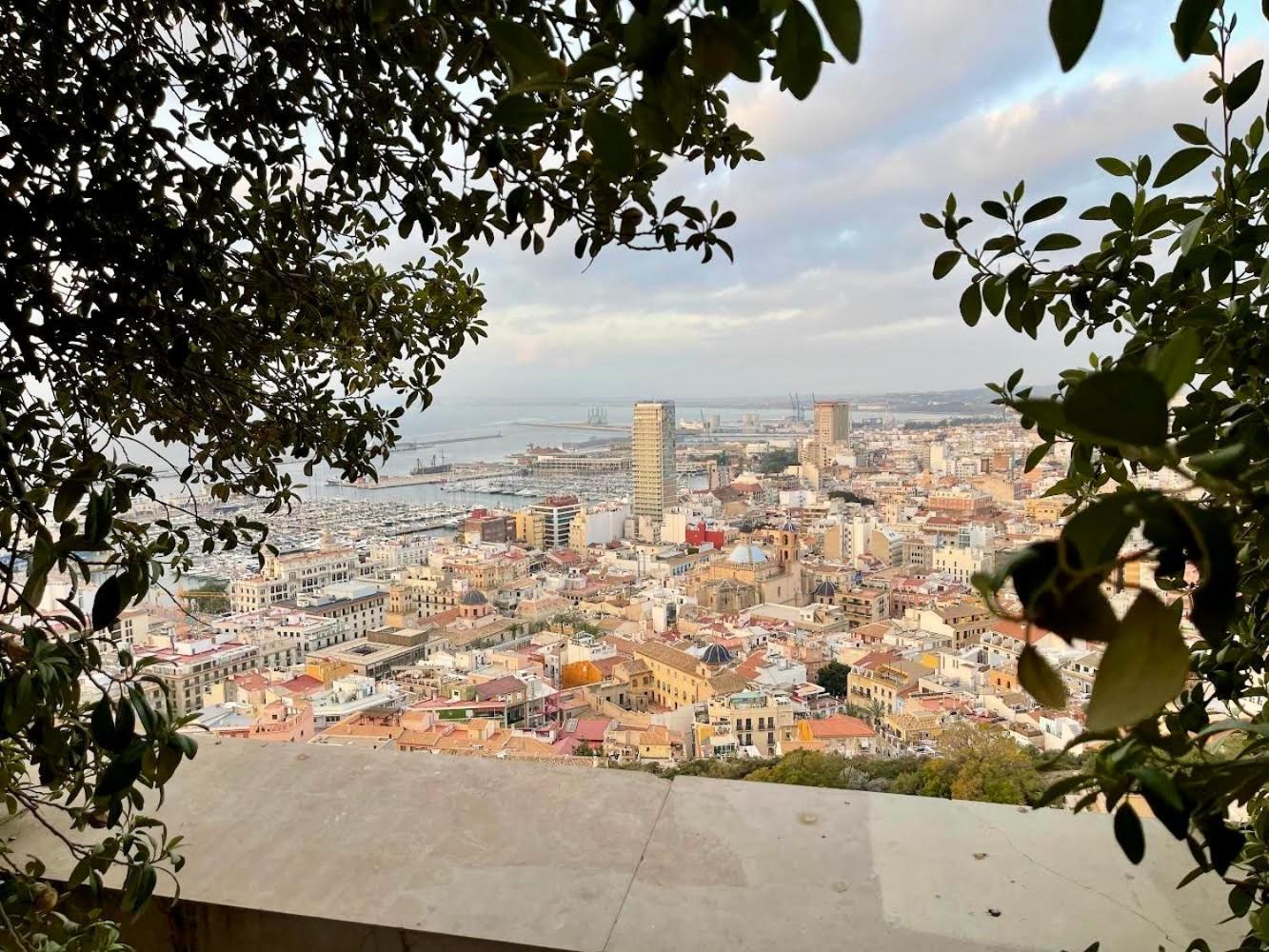Gran Atico Con Terraza En El Centro De Alicante Extérieur photo