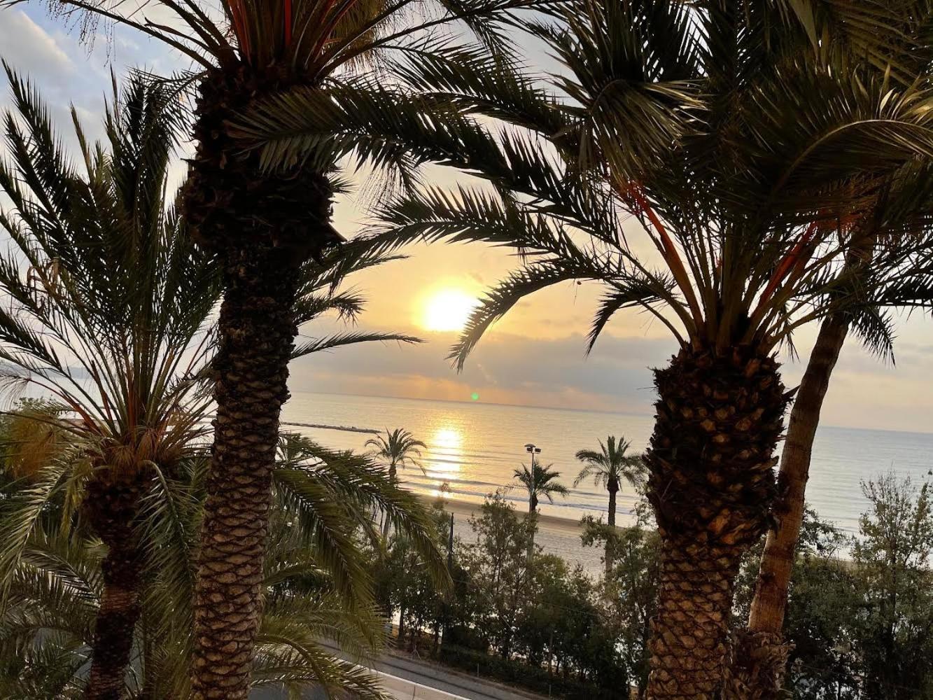Gran Atico Con Terraza En El Centro De Alicante Extérieur photo